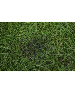 100 Black Galvanised Grass Pins 150mm